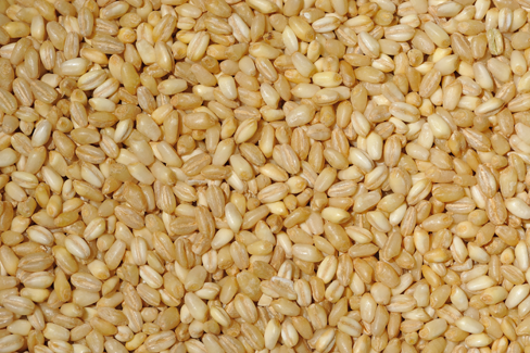 Buy Order – White Wheat